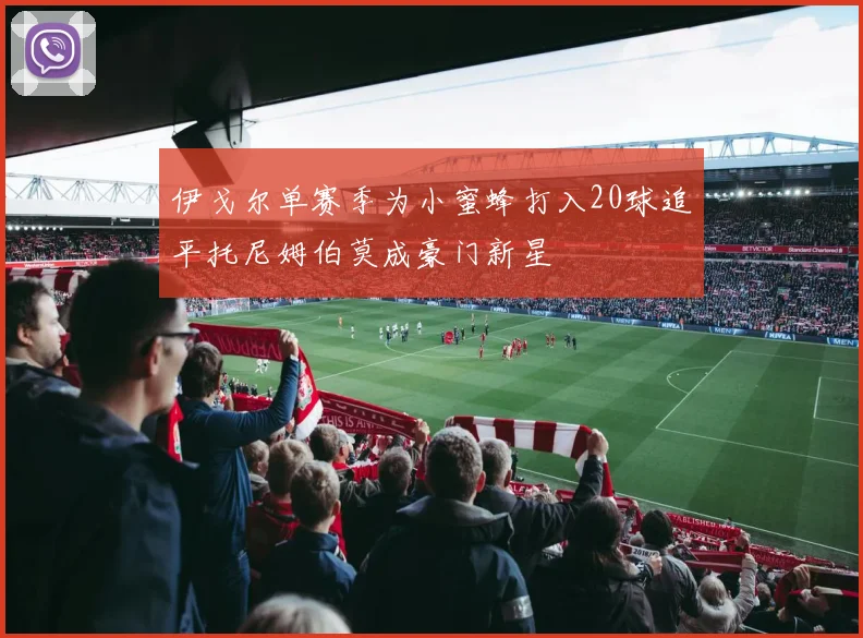 伊戈尔单赛季为小蜜蜂打入20球追平托尼姆伯莫成豪门新星