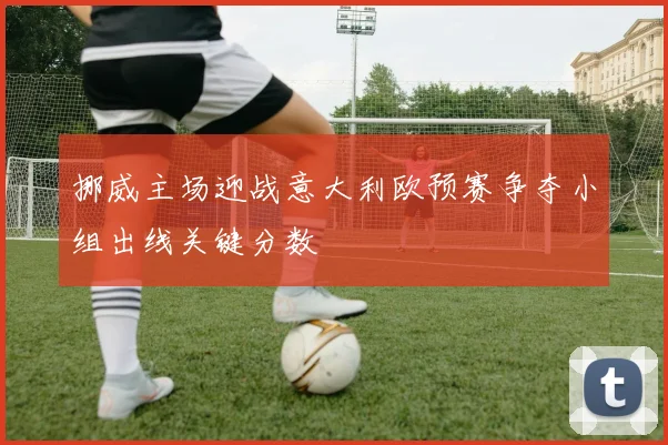 挪威主场迎战意大利欧预赛争夺小组出线关键分数