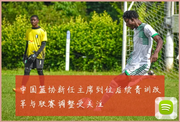 中国篮协新任主席到位后续青训改革与联赛调整受关注