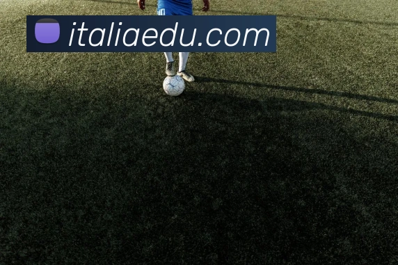 milan米兰app官网服务体系